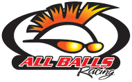 All-Balls Racing Set Gabelsimmerringe mit Staubkappe 56-147